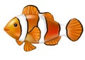 Cartoon anemonefish. Clown fish Nemo. Vector illustration Royalty Free Stock Photo