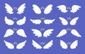 Cartoon angel wings. Drawing wing with halo, cute shining winged collection. Angels or birds, holy flying elements. Racy