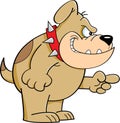 Cartoon angry bulldog