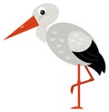 Cartoon animal bird stork on white background illustration