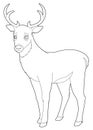 Cartoon animal - deer - isolated - coloring page