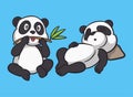 Cartoon animal design panda eats bamboo and the panda sleeps