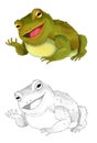 Cartoon animal frog toad sketch illustration