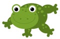 Cartoon animal frog toad on white background illustration