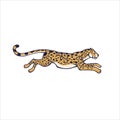 Cartoon animal guepard running fast with high speed isolated at white background