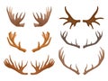 Cartoon animal horns. Reindeer, antelope and moose horn, wild mammals, ungulates antlers, hunting trophy flat vector illustration