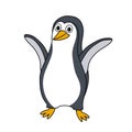 Cartoon animal illustration vector Penguin