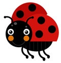 Cartoon animal insect ladybug on white background illustration for