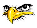 bald eagle face cartoon mascot . can use for sport logo Royalty Free Stock Photo