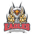 cartoon eagles mascot character for sport logo