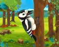 Cartoon animal scene - woodpecker