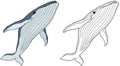 Cartoon animal whale fish with sketch - illustration