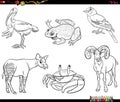 Cartoon animals characters set coloring book page