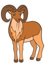 Cartoon animals. Cute beautiful urial with great horns