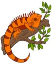 Cartoon animals. Cute orange iguana sits on the tree branch. Royalty Free Stock Photo