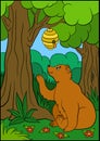 Cartoon animals for kids. Cute brown bear looks at the beehive.