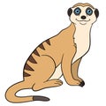 Cartoon animals. Little cute meerkat smiles.