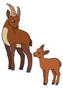 Cartoon animals. Mother ibex with her little cute baby.