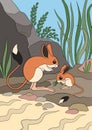 Cartoon animals. Mother jerboa and her little cute baby stands and smiles