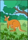 Cartoon animals. Mother kangaroo with her little cute baby. Royalty Free Stock Photo