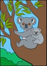 Cartoon animals. Mother koala sits with her little cute baby. Royalty Free Stock Photo