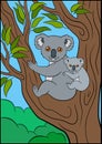 Cartoon animals. Mother koala sits with her little cute baby. Royalty Free Stock Photo