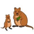 Cartoon animals. Mother quokka with her little cute baby Royalty Free Stock Photo