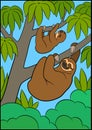 Cartoon animals. Mother sloth and her little cute baby hang on the tree branch
