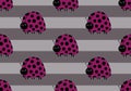 Cartoon animals seamless beetle ladybug pattern for wrapping paper and fabrics and linens and kids clothes print Royalty Free Stock Photo