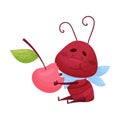 Cartoon Ant Character Eating Berry Isolated on White Background Vector Illustration Royalty Free Stock Photo