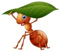 Cartoon ant holding a green leaf