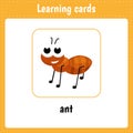 Cartoon ant for kids education Royalty Free Stock Photo