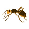 Cartoon ant on a white background. Vector illustration. Hand drawing Royalty Free Stock Photo