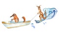 Cartoon anteater on boat and kangaroo has water skiing watercolor illustration isolated on white.