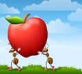 Cartoon Ants Carrying Apple