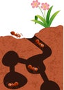 Cartoon ants colony