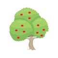 Cartoon apple tree vector illustration in flat design isolated on white background. Royalty Free Stock Photo