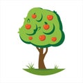 Cartoon apple tree vector illustration Royalty Free Stock Photo