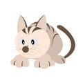 Cartoon applique set, crouching cat