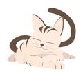 Cartoon applique set, relaxing cat