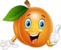 Cartoon apricot giving thumbs up