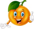 Cartoon apricot giving thumbs up