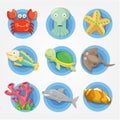 Cartoon Aquarium animal icons set ,fish icons