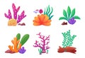 Cartoon aquarium decorations, stones, shells and wood. Underwater compositions, algae and sea plants. Decorative ocean Royalty Free Stock Photo