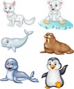 Cartoon arctic animals collection set