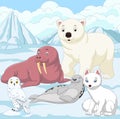 Cartoon arctic animals with ice field background