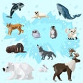 Cartoon Arctic Fauna Set