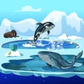 Cartoon Arctic Fauna Template