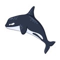 Cartoon art character killer whale, orca. Cute undersea animal for children book. Vector illustration isolated on a Royalty Free Stock Photo