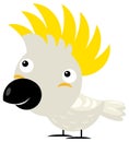 Cartoon asian animal bird cockatoo safari isolated illustration for children